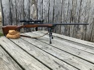 IMG_8463.jpeg