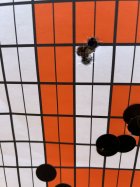 IMG_3100.jpeg