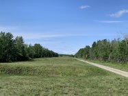 IMG_3756.jpeg