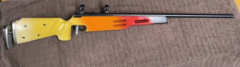IMG_2879.jpeg