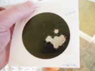 DSCN4576.JPG