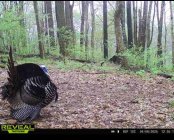 IMG_8573.jpeg