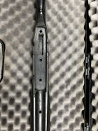 IMG_8713.jpeg