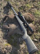 IMG_7737.jpeg IMG_7737.jpeg