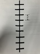 IMG_1772.jpeg