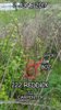 PicsArt_06-02-04.50.30.jpg