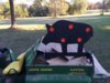 pig target.JPG