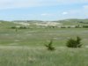 DSCN1554_Medium.JPG