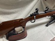 IMG_3243.jpeg