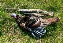 IMG_4422.jpeg