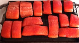 fish.jpg