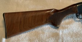 IMG_0141.jpeg