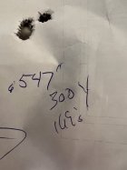 IMG_6870.jpeg