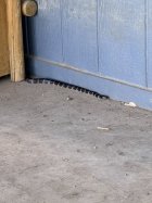 IMG_3454.jpeg