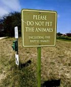 IMG_4277.jpeg