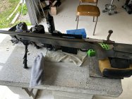 IMG_1238.jpeg