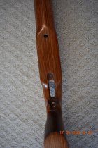 DSC_1501.JPG