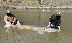 IMG_20250418_222516.jpg