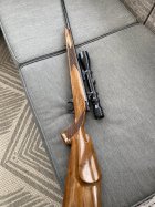 IMG_4895.jpeg