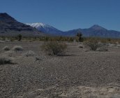 Image 211.jpeg