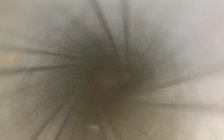 1745264432697.jpg