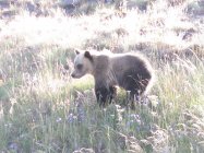 IMG_0069 (3).JPG
