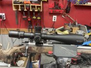 IMG_0278.jpeg