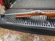 IMG_1220.jpeg