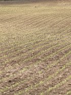 IMG_8035.jpeg