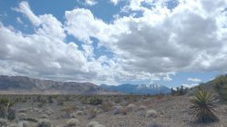 DSC_2366.jpg