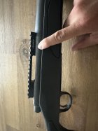 IMG_2573.jpeg