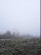 2025 3K postponment.jpg