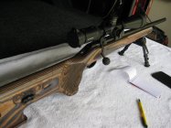 IMG_5706 - Copy.JPG