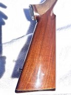 IMG_3272.jpeg