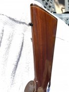 IMG_3271.jpeg