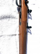 IMG_3270.jpeg