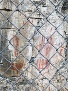 IMG_3777.jpeg