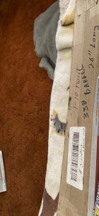 IMG_1712.jpeg