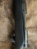 IMG_7295.jpeg