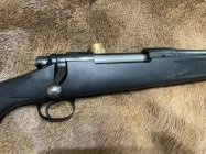 IMG_7299.jpeg