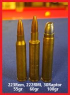 223 222RMI 30Raptor.jpg