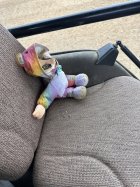 IMG_7982.jpeg