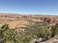 IMG_0077.jpeg
