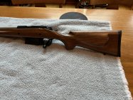 IMG_0532.jpg