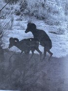 IMG_3630.jpeg