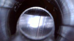 IMG_3548.jpeg