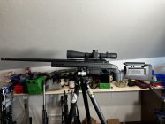 IMG_7308.jpeg