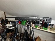 IMG_7313.jpeg