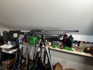 IMG_7312.jpeg