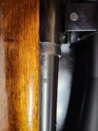 right side.jpg